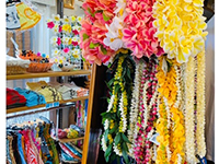 �t���_���X�E�n���C�A���O�b�Y����葵���Ă��܂��B